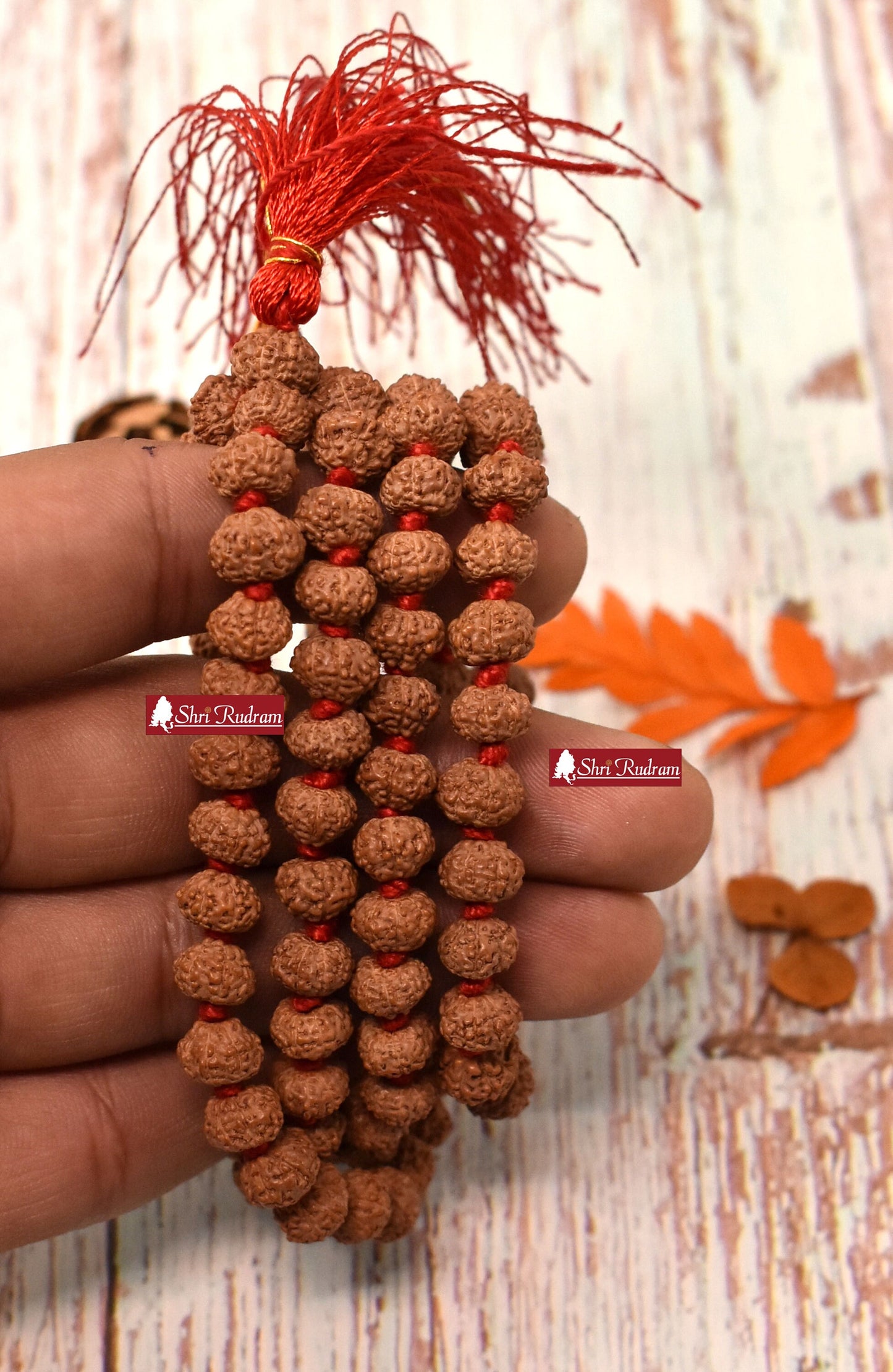 ShriRudram 8 Mukhi Rudraksha Mala / Eight Face Rudraksh Rosary Java 108+1 Bead Lab Certified