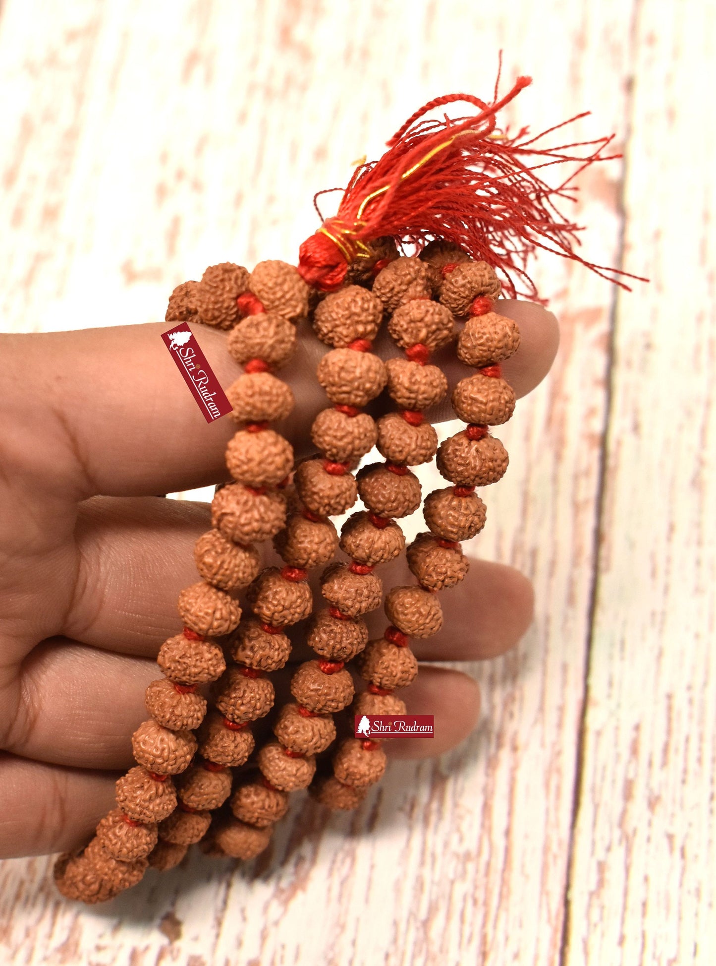 Shri Rudram 10 Mukhi Rudraksha Mala / Ten Face Rudraksh Rosary Java Lab Certified 8-9 MM D1