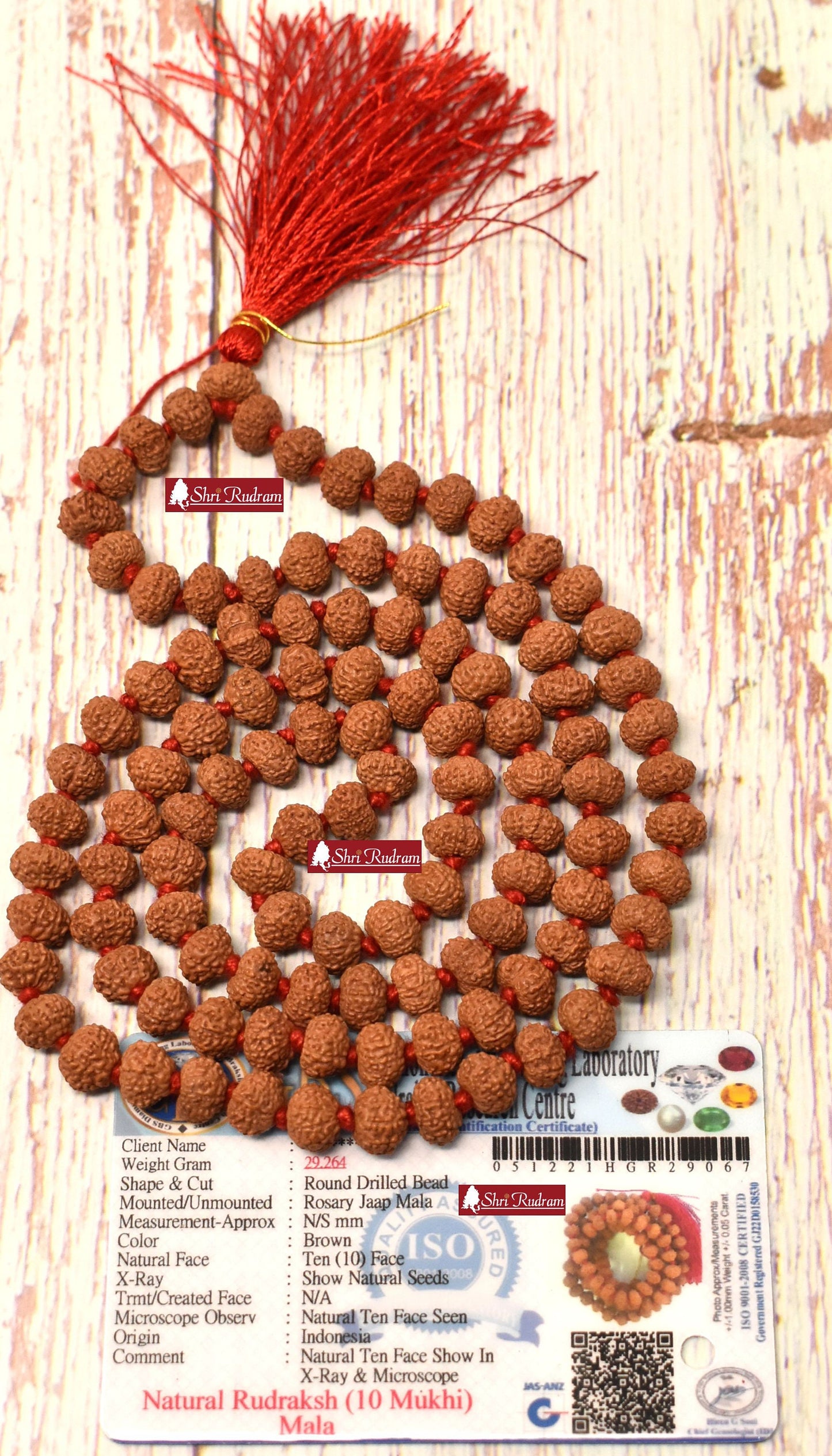Shri Rudram 10 Mukhi Rudraksha Mala / Ten Face Rudraksh Rosary Java Lab Certified 8-9 MM D1