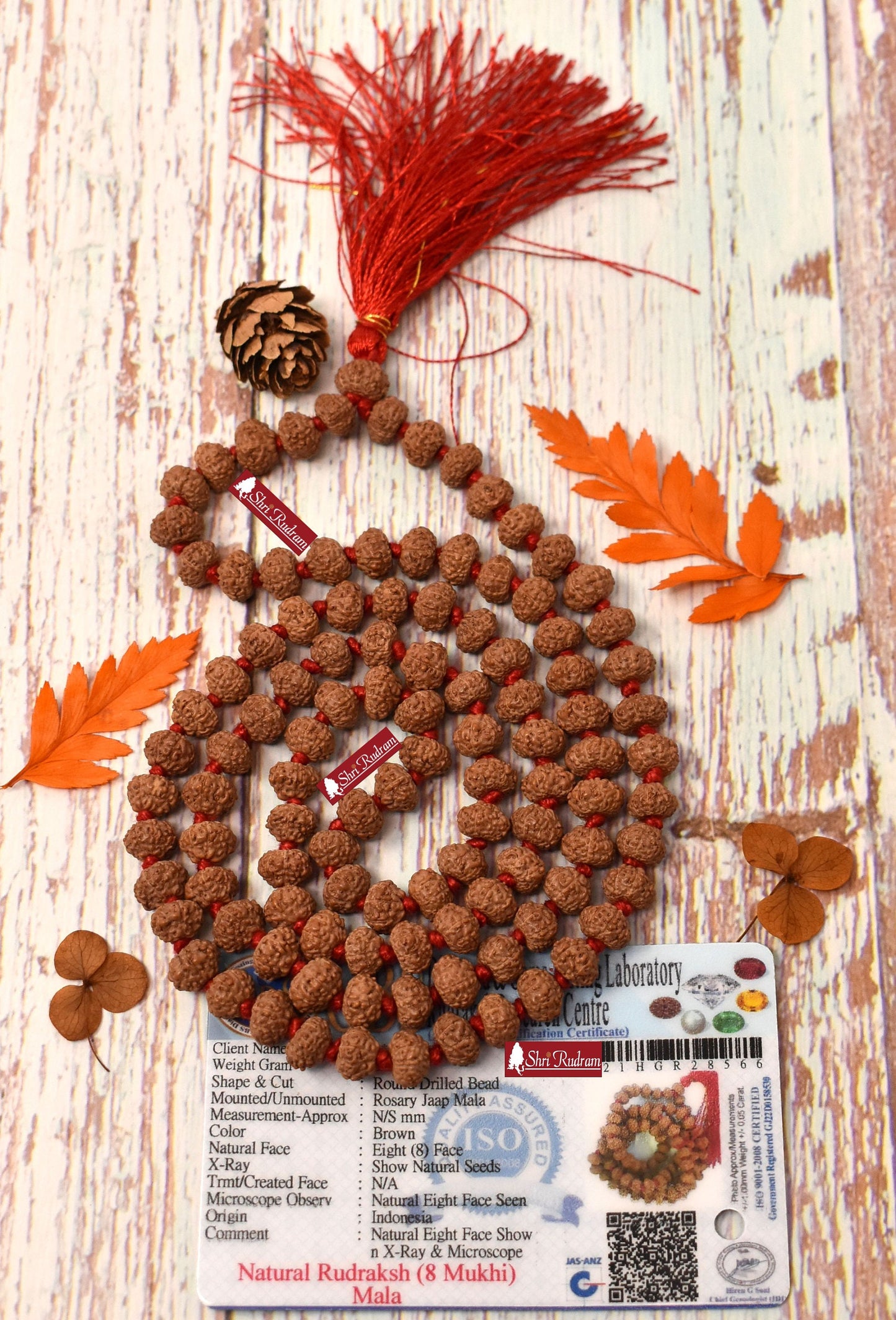 ShriRudram 8 Mukhi Rudraksha Mala / Eight Face Rudraksh Rosary Java 108+1 Bead Lab Certified
