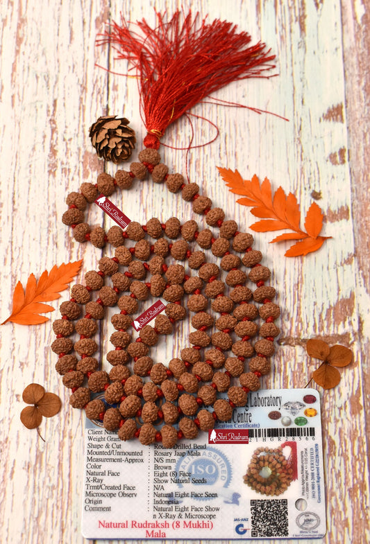 ShriRudram 8 Mukhi Rudraksha Mala / Eight Face Rudraksh Rosary Java 108+1 Bead Lab Certified