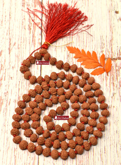 Shri Rudram 10 Mukhi Rudraksha Mala / Ten Face Rudraksh Rosary Java Lab Certified 8-9 MM D1