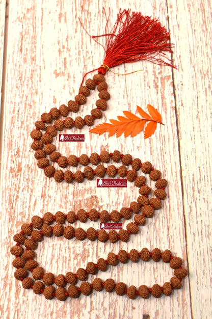 Shri Rudram 10 Mukhi Rudraksha Mala / Ten Face Rudraksh Rosary Java Lab Certified 8-9 MM D1