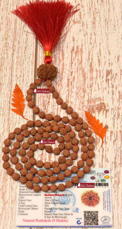 ShriRudram 9 Mukhi Nepal Rudraksha Guru Bead in 5 Mukhi Rudraksha Mala Rosary 108+1 Prayer Beads Lab Certified
