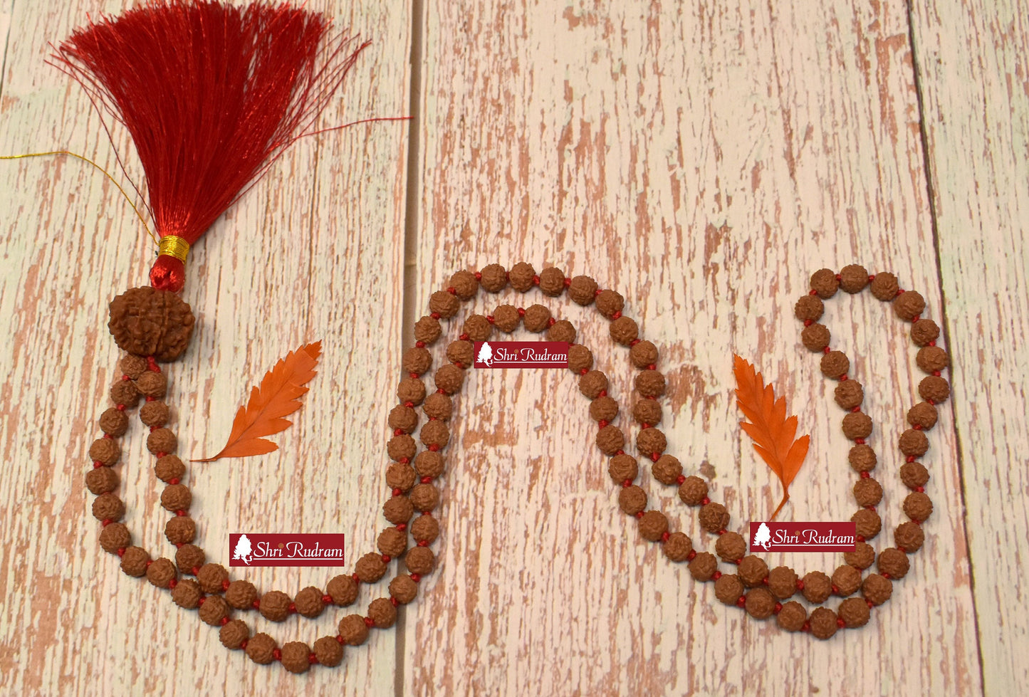 ShriRudram 10 Mukhi Nepal Rudraksha Guru Bead in 5 Mukhi Rudraksha Mala Rosary 108+1 Prayer Beads Lab Certified