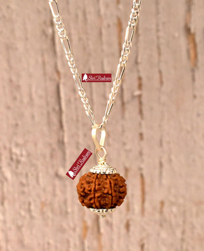 ShriRudram 8 Mukhi Rudraksha / Eight Face Rudraksh Nepal Bead in Pure Silver Chain Lab Certified
