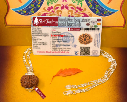 ShriRudram 8 Mukhi Rudraksha / Eight Face Rudraksh Nepal Bead in Pure Silver Chain Lab Certified