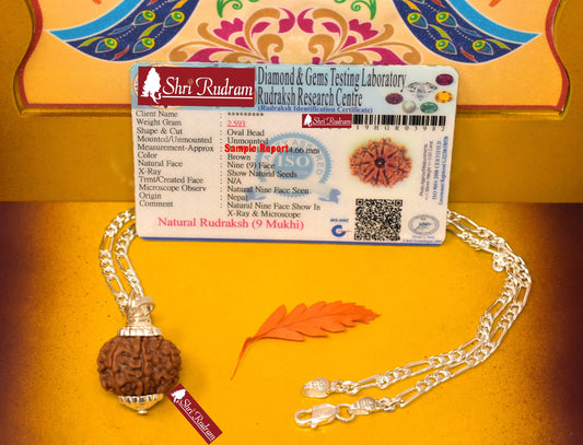 ShriRudram 9 Mukhi Rudraksha / Nine Face Rudraksh Nepal Bead in Pure Silver Chain Lab Certified