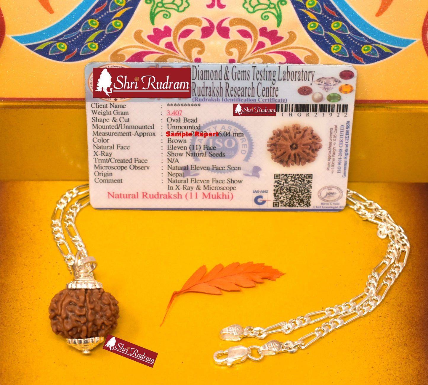 ShriRudram 11 Mukhi Rudraksha / Eleven Face Rudraksh Nepal Bead in Pure Silver Chain Lab Certified