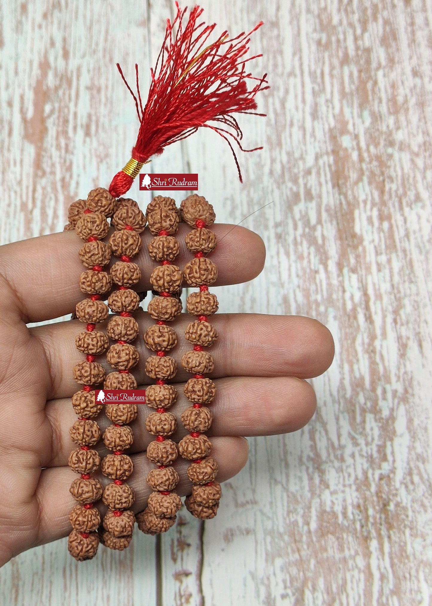 Shri Rudram 6 Mukhi Rudraksha Mala / Six Face Rudraksh Rosary Java Lab Certified D1