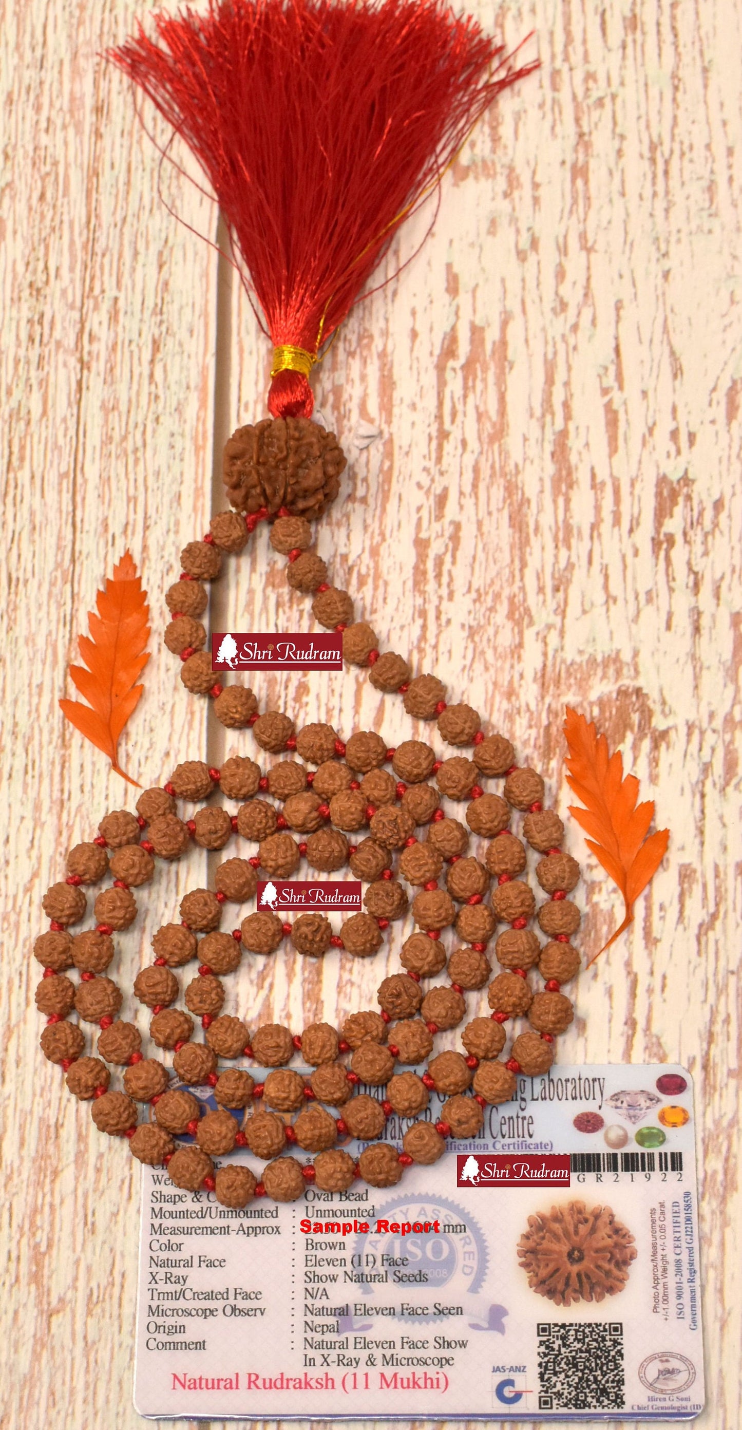 ShriRudram 11 Mukhi Nepal Rudraksha Guru Bead in 5 Mukhi Rudraksha Mala Rosary 108+1 Prayer Beads Lab Certified