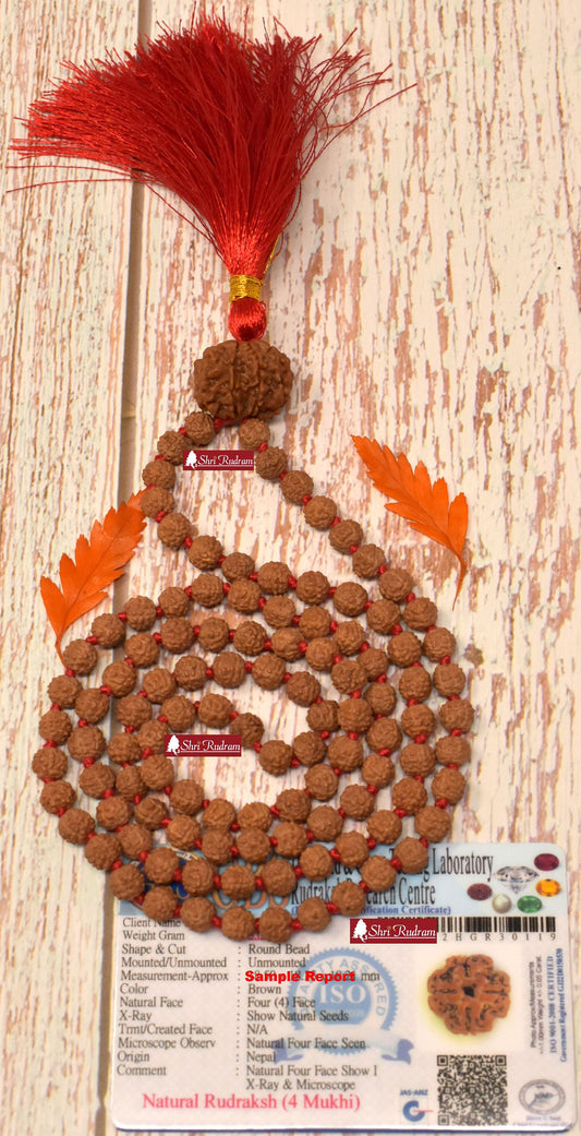 ShriRudram 4 Mukhi Nepal Rudraksha Guru Bead in 5 Mukhi Rudraksha Mala Rosary 108+1 Prayer Beads Lab Certified