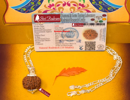 ShriRudram 10 Mukhi Rudraksha / Ten Face Rudraksh Nepal Bead in Pure Silver Chain Lab Certified