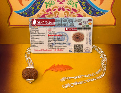 ShriRudram 12 Mukhi Rudraksha / Twelve Face Rudraksh Nepal Bead in Pure Silver Chain Lab Certified