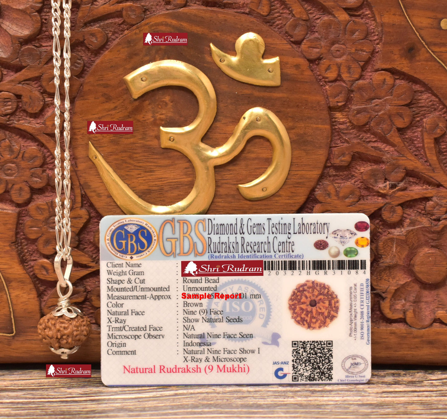 ShriRudram 9 Mukhi Rudraksha / Nine Face Rudraksh Java Bead in Pure Silver Chain Lab Certified