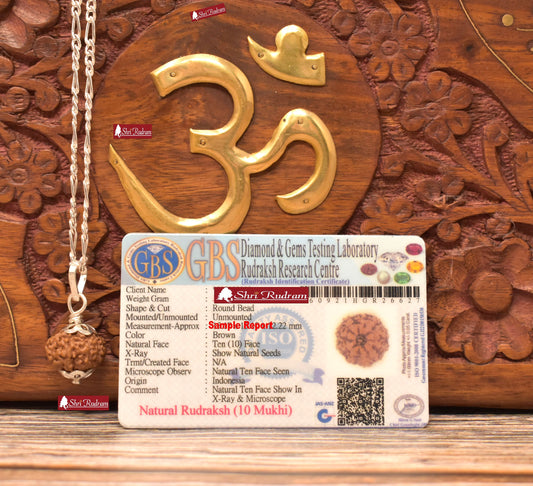 ShriRudram 10 Mukhi Rudraksha / Ten Face Rudraksh Java Bead in Pure Silver Chain Lab Certified