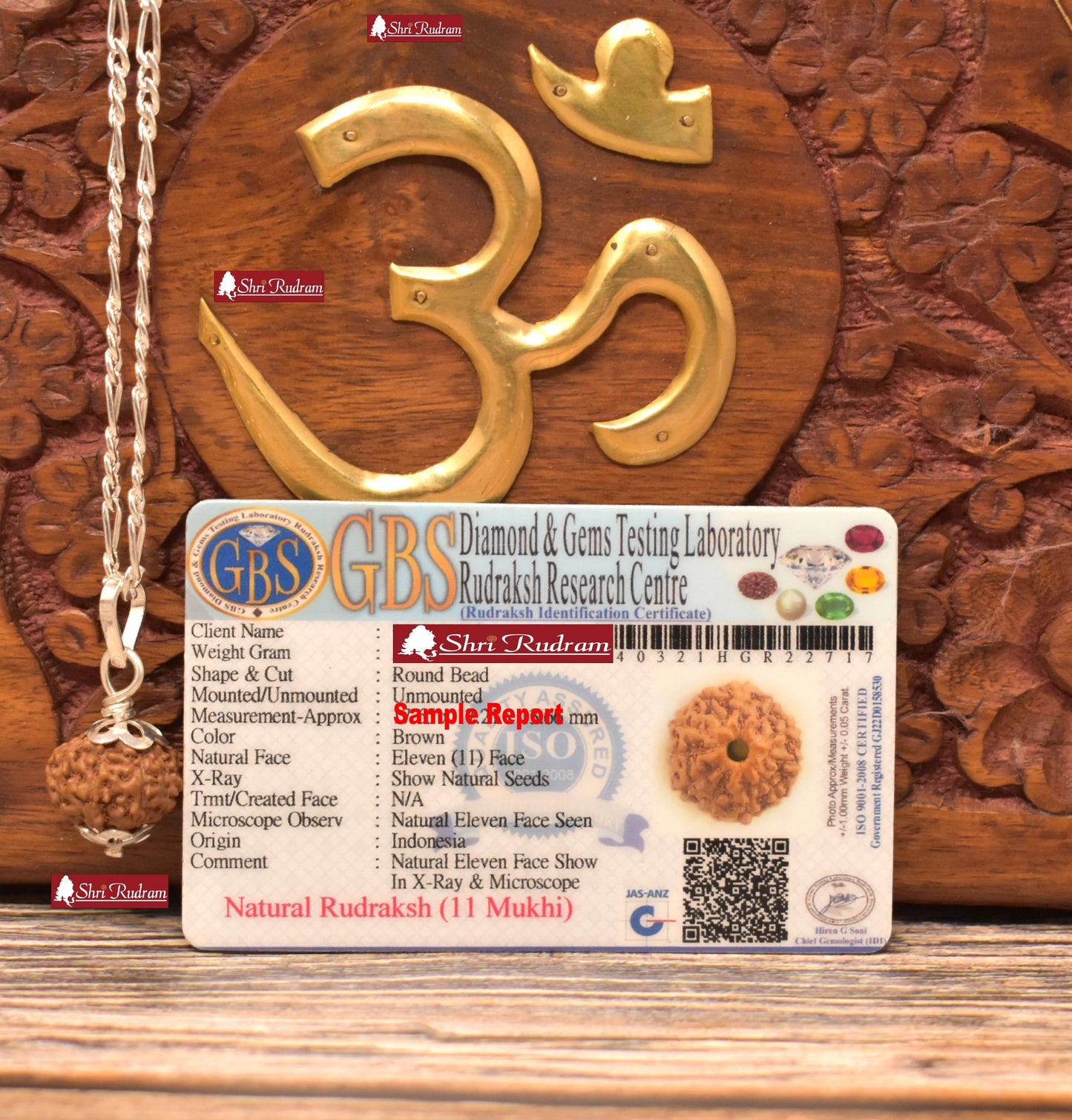 ShriRudram 11 Mukhi Rudraksha / Eleven Face Rudraksh Java Bead in Pure Silver Chain Lab Certified