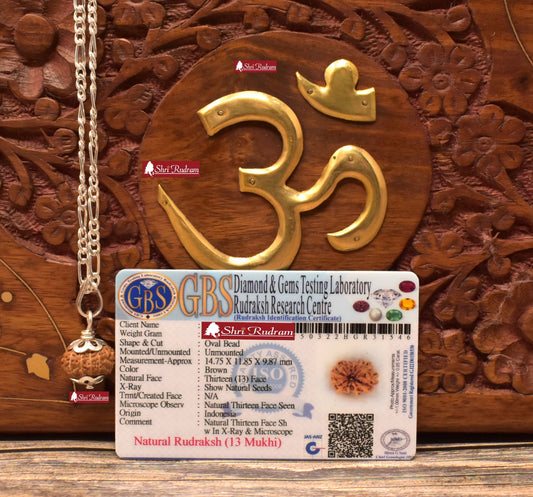 ShriRudram 13 Mukhi Rudraksha / Thirteen Face Rudraksh Java Bead in Pure Silver Chain Lab Certified