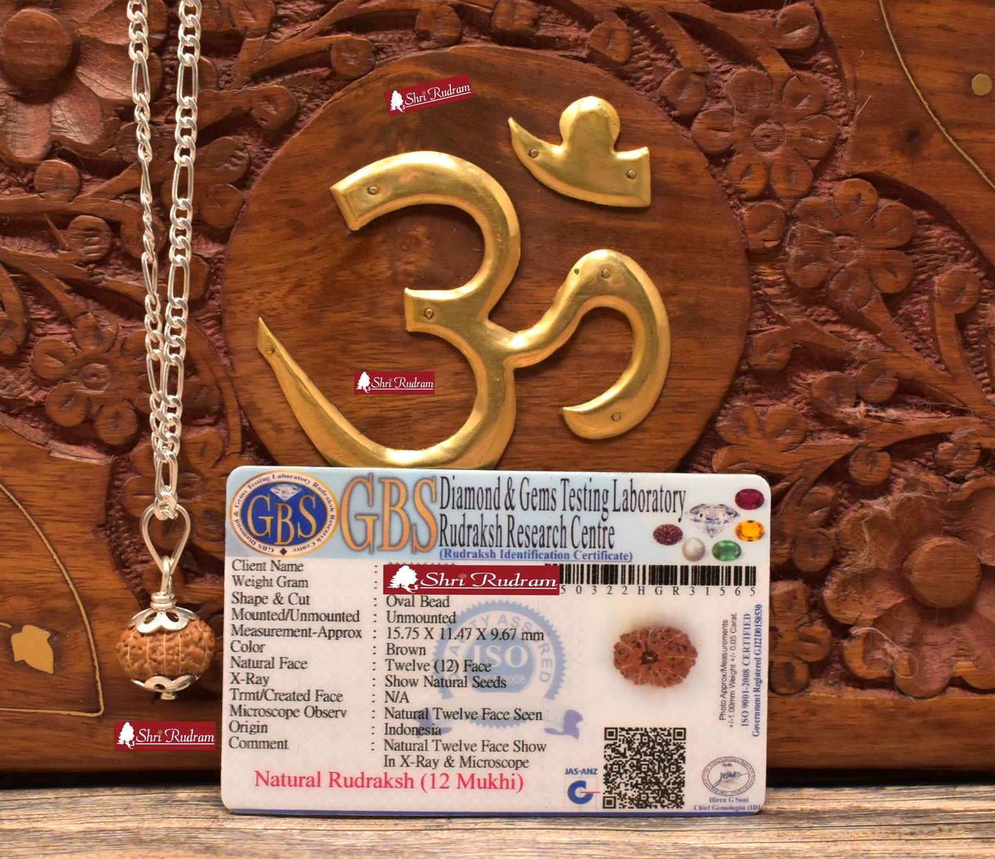 ShriRudram 12 Mukhi Rudraksha / Twelve Face Rudraksh Java Bead in Pure Silver Chain Lab Certified