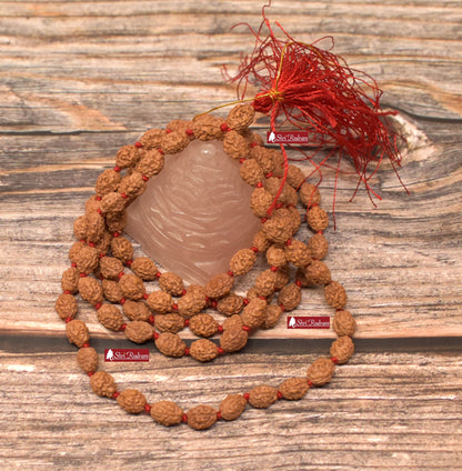 ShriRudram 3 Mukhi Rudraksha Mala / Three Face Rudraksh Rosary Java Lab Certified 108+1 Beads D2
