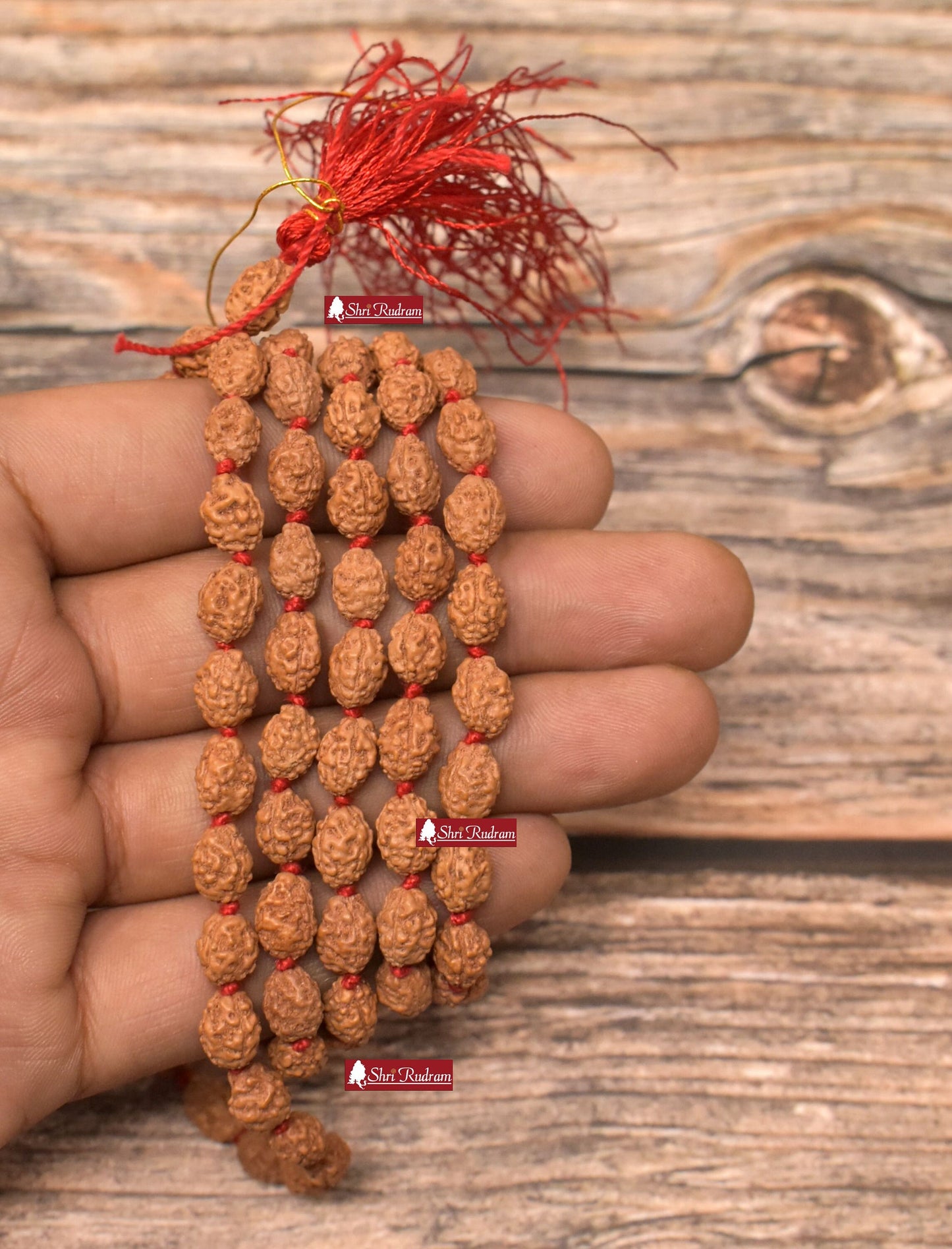 ShriRudram 3 Mukhi Rudraksha Mala / Three Face Rudraksh Rosary Java Lab Certified 108+1 Beads D2