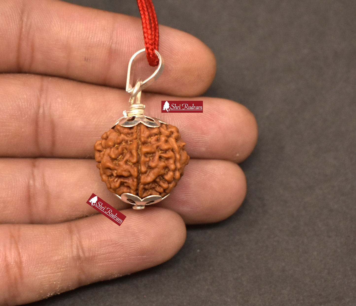 ShriRudram 7 Mukhi Rudraksha / Seven Face Rudraksh Nepal Bead Certified Size 22-23 MM