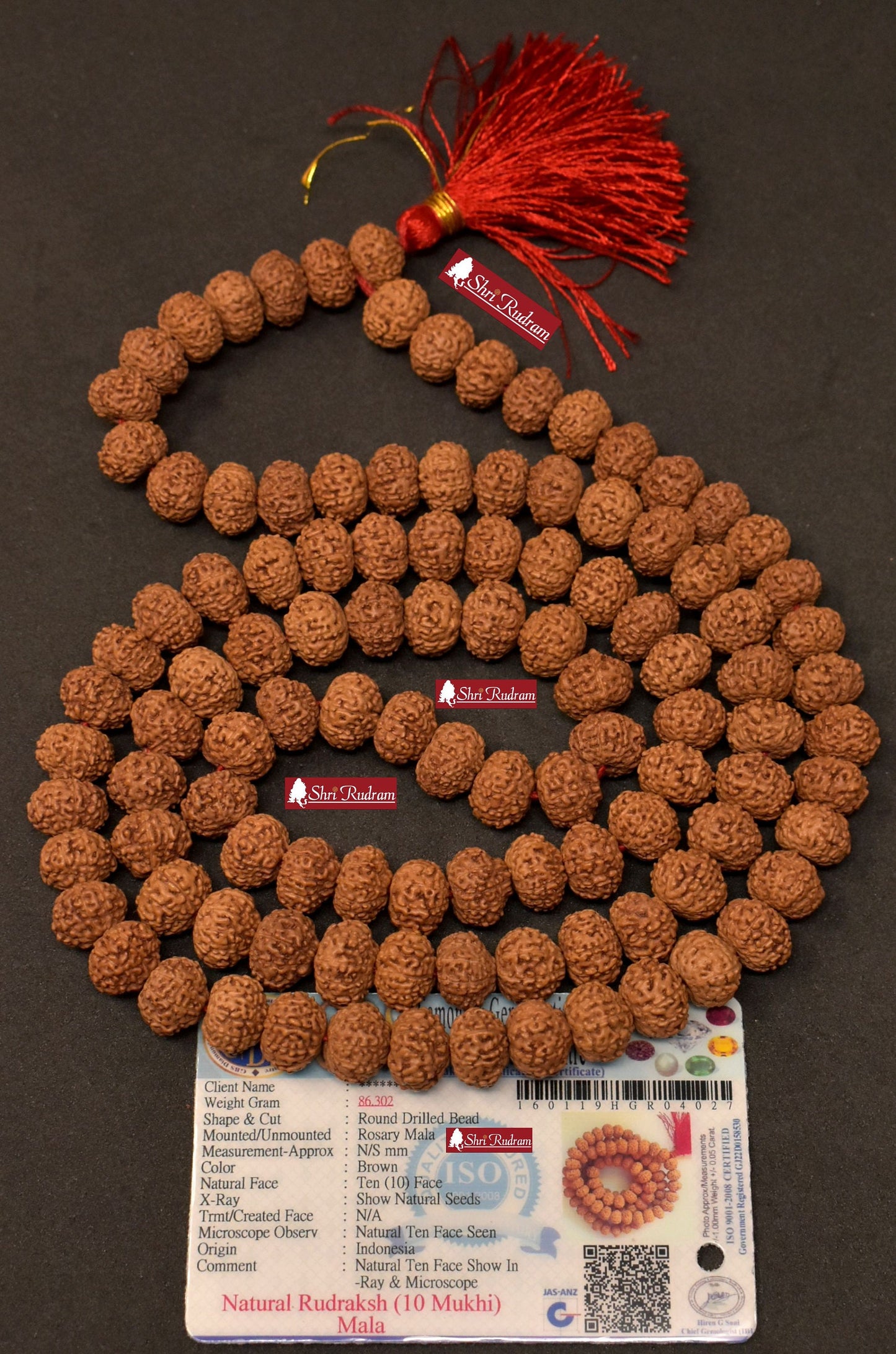 ShriRudram 10 Mukhi Rudraksha Mala / Ten Face Rudraksh Rosary Java Lab Certified 12-14 MM