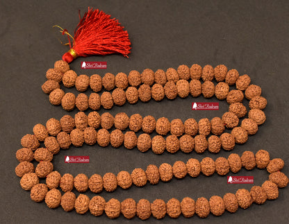 ShriRudram 10 Mukhi Rudraksha Mala / Ten Face Rudraksh Rosary Java Lab Certified 12-14 MM