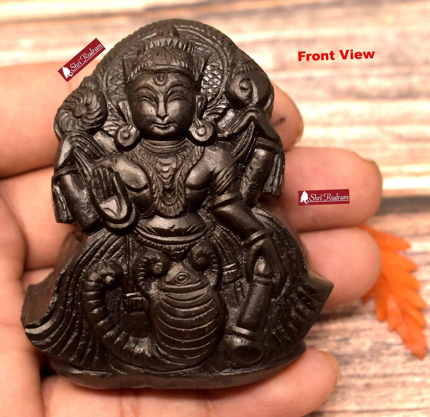 Shimshumara Murti Idol Carved on Sudershan ShaligramNepal SSM140