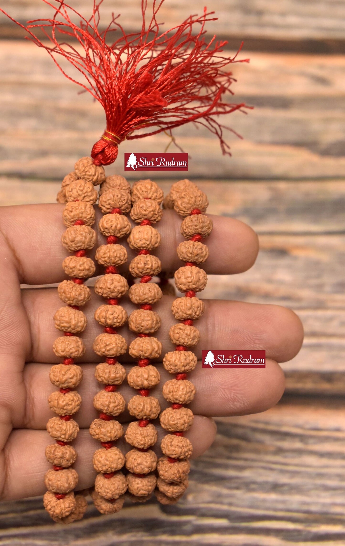 ShriRudram 6 Mukhi Rudraksha Mala / Six Face Rudraksh Rosary Java Lab Certified D2