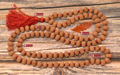 ShriRudram 6 Mukhi Rudraksha Mala / Six Face Rudraksh Rosary Java Lab Certified D2