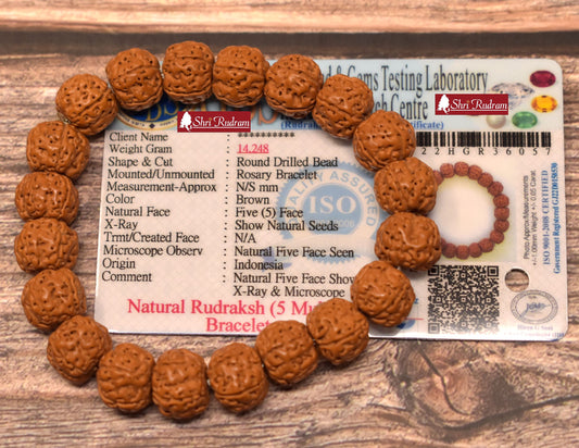 ShriRudram 5 Mukhi Rudraksha Bracelet / Five Face Rudraksh Wristlet Java Lab Certified Top Quality
