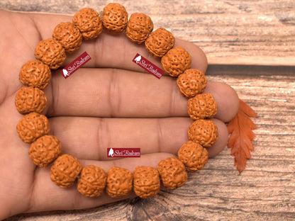 ShriRudram 5 Mukhi Rudraksha Bracelet / Five Face Rudraksh Wristlet Java Lab Certified Top Quality