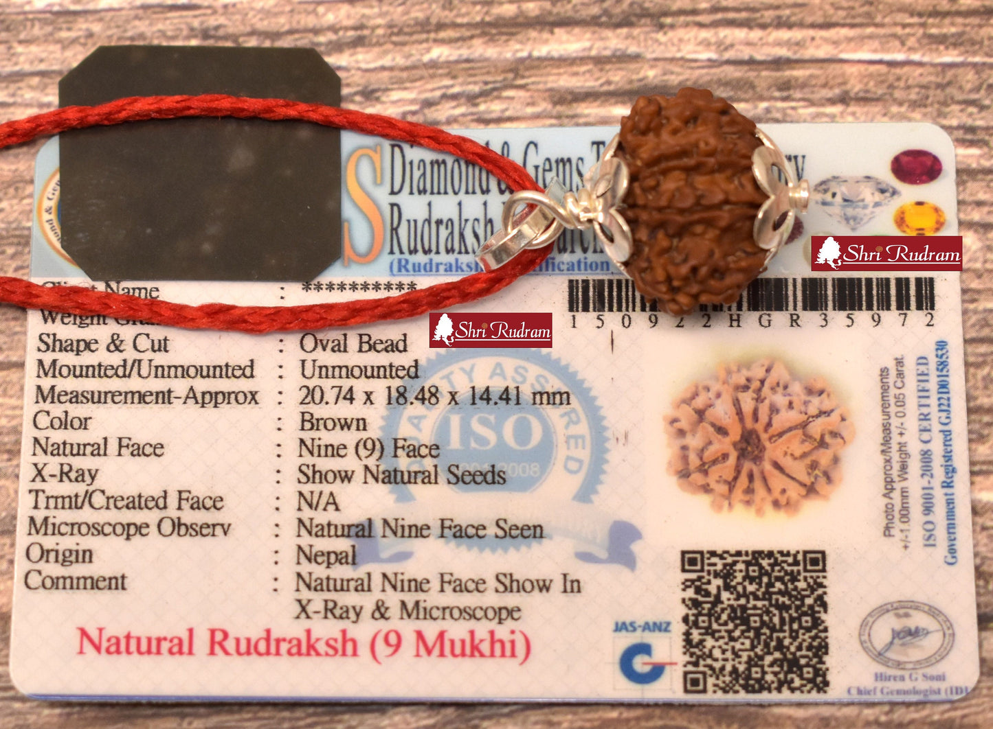 ShriRudram 9 Mukhi Rudraksha / NIne Face Rudraksh Nepal Bead Lab Certified Size 19-20 MM
