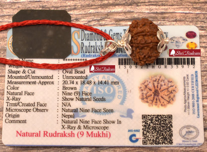 ShriRudram 9 Mukhi Rudraksha / NIne Face Rudraksh Nepal Bead Lab Certified Size 19-20 MM