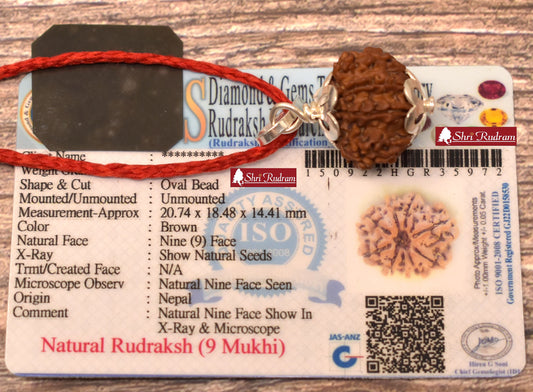 ShriRudram 9 Mukhi Rudraksha / NIne Face Rudraksh Nepal Bead Lab Certified Size 19-20 MM