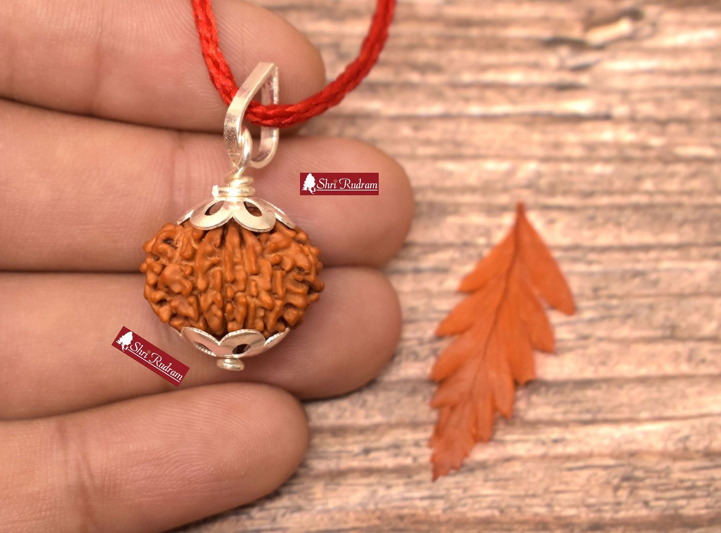 ShriRudram 11 Mukhi Rudraksha / Eleven Face Rudraksh Nepal Bead Lab Certified 20-22 MM
