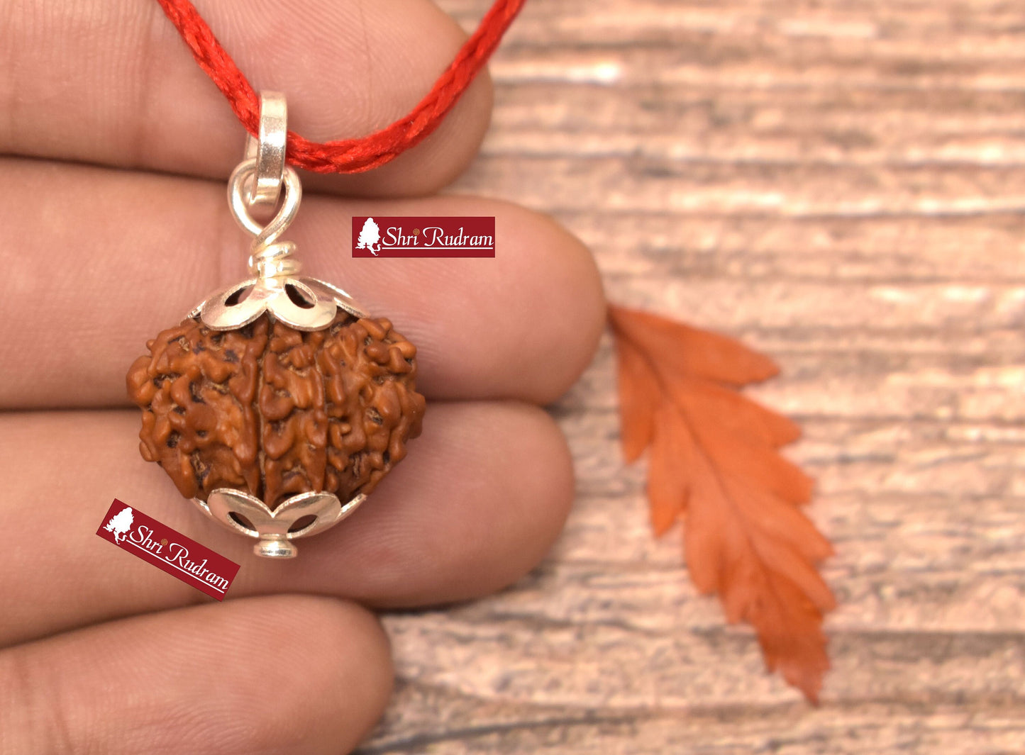 ShriRudram 9 Mukhi Rudraksha / NIne Face Rudraksh Nepal Bead Lab Certified Size 19-20 MM