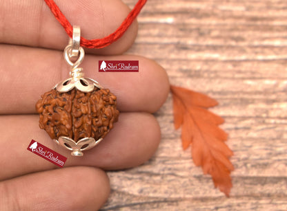 ShriRudram 9 Mukhi Rudraksha / NIne Face Rudraksh Nepal Bead Lab Certified Size 19-20 MM