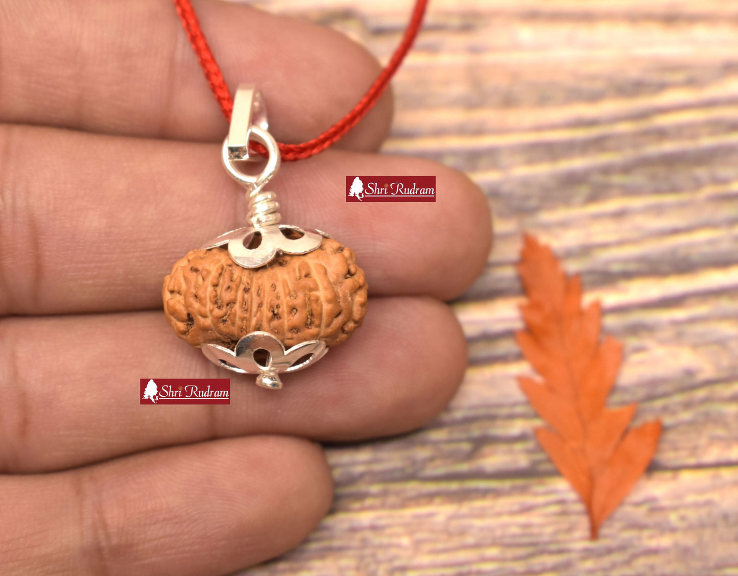 ShriRudram 16 Mukhi Rudraksha / Sixteen Face Rudraksh Java Bead Lab Certified 21.03 MM