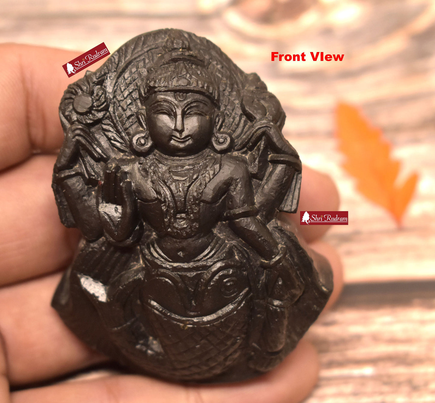 ShriRudram Matsya Murti / Matasya Statue Idol Carved on Sudarshan Shaligram Gandaki Nepal MS103