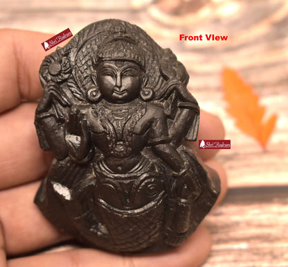 ShriRudram Matsya Murti / Matasya Statue Idol Carved on Sudarshan Shaligram Gandaki Nepal MS103