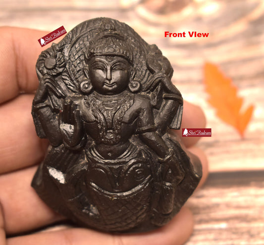ShriRudram Matsya Murti / Matasya Statue Idol Carved on Sudarshan Shaligram Gandaki Nepal MS103