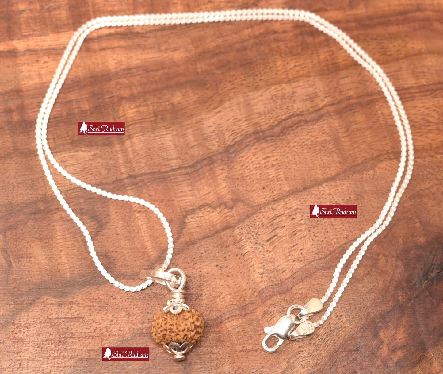 ShriRudram 13 Mukhi Rudraksha / Thirteen Face Rudraksh Java Bead in Pure Silver Chain Lab Certified D2