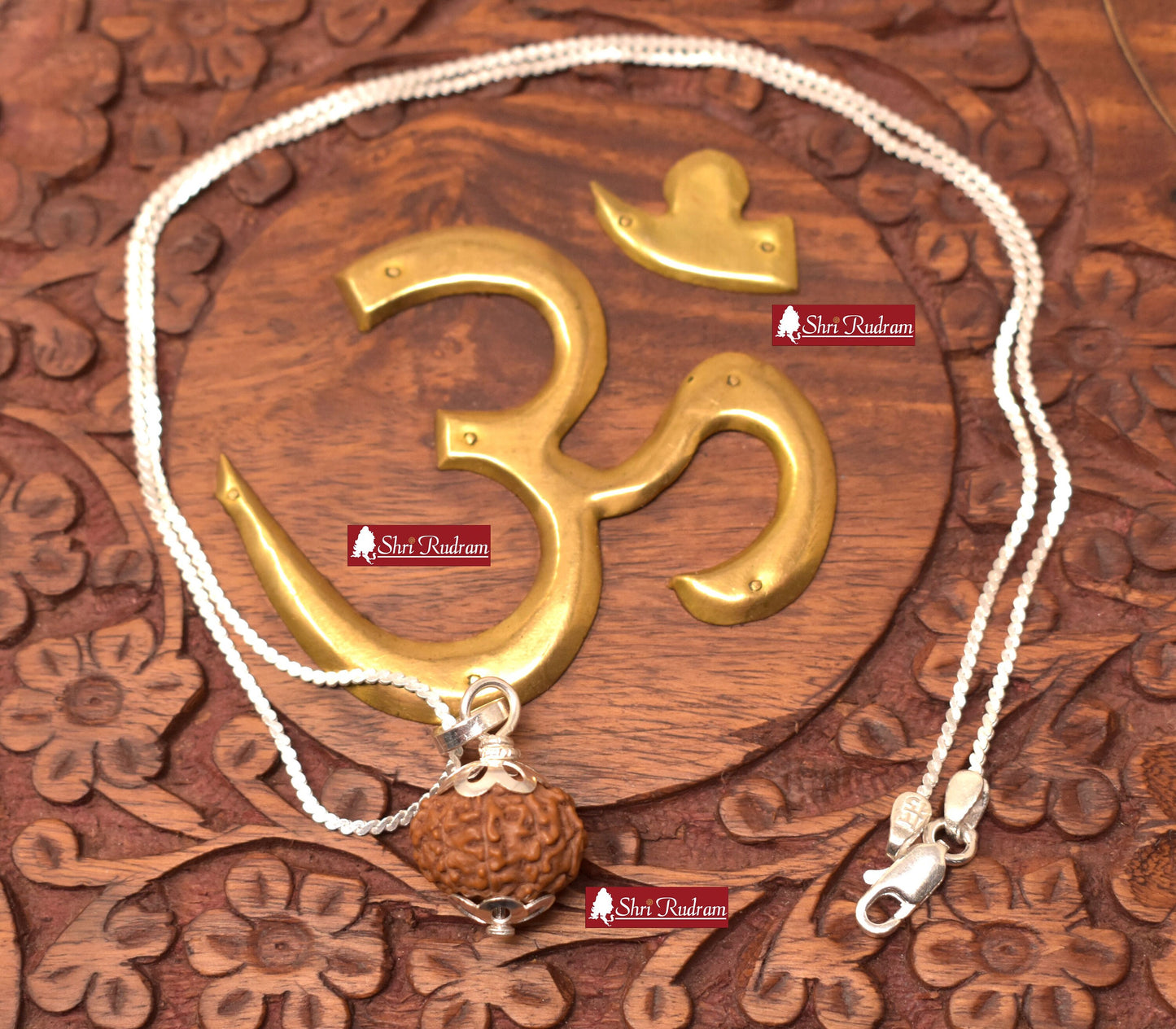 ShriRudram 11 Mukhi Rudraksha / Eleven Face Rudraksh Java Bead in Pure Silver Chain Lab Certified D2