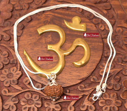 ShriRudram 11 Mukhi Rudraksha / Eleven Face Rudraksh Java Bead in Pure Silver Chain Lab Certified D2