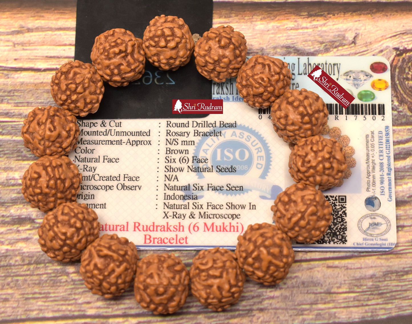 Shri Rudram 6 Mukhi Rudraksha Bracelet / Six Face Rudraksh Wristlet Java Lab Certified 15 MM