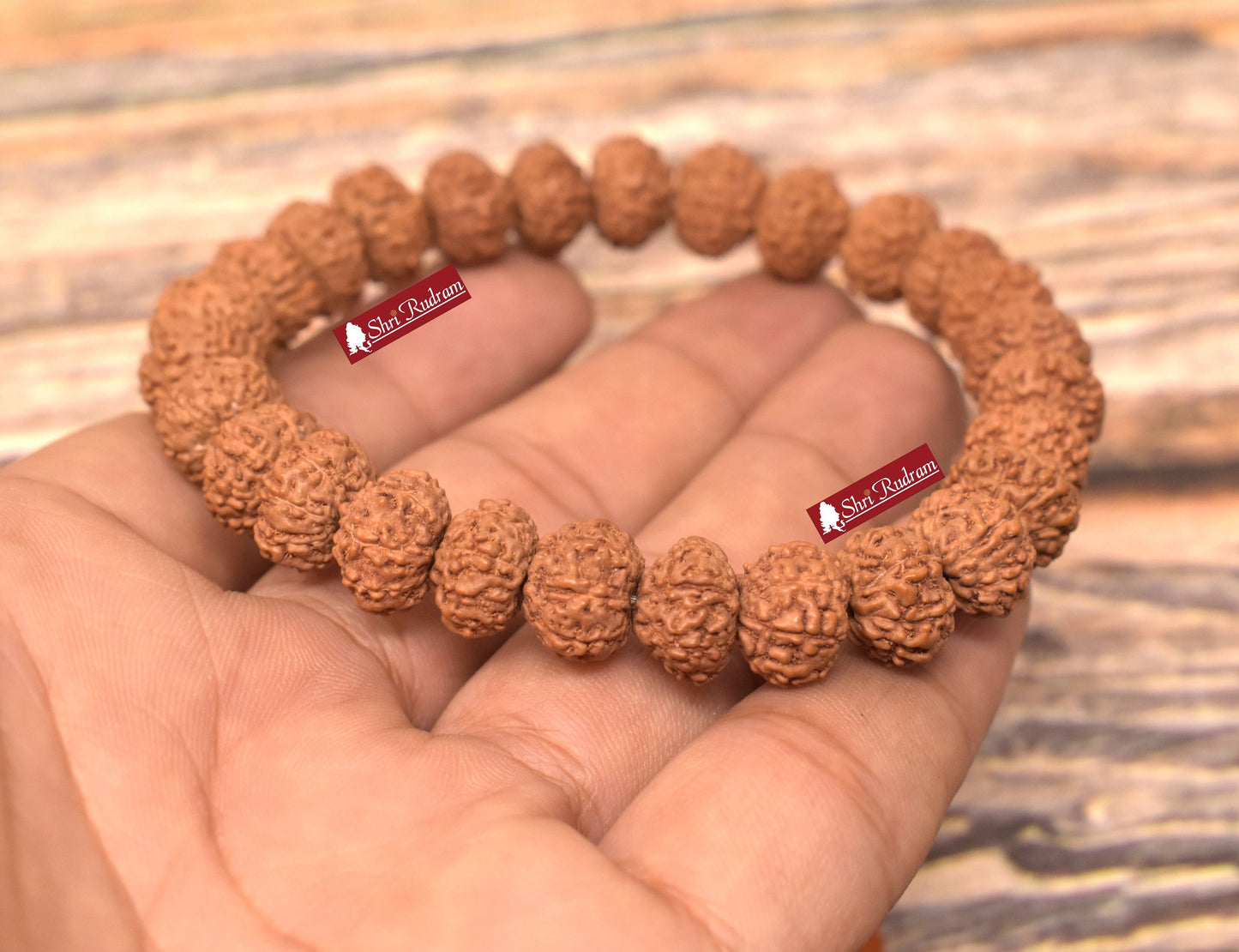 Shri Rudram 8 Mukhi Rudraksha Bracelet / Eight Face Rudraksh Wristlet Java Lab Certified
