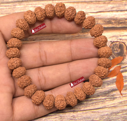Shri Rudram 8 Mukhi Rudraksha Bracelet / Eight Face Rudraksh Wristlet Java Lab Certified