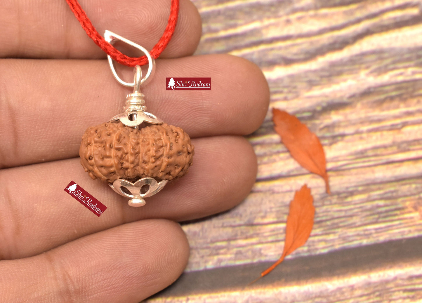 ShriRudram 15 Mukhi Rudraksha / Fifteen Face Rudraksh Java Bead Lab Certified 20.61 MM